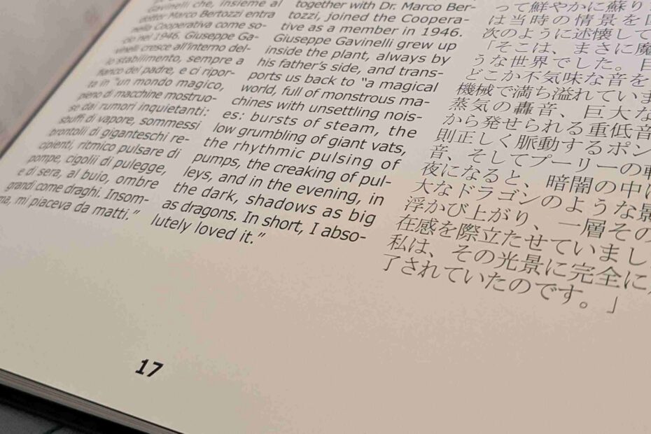 professional Japanese localization services anniversary book translation