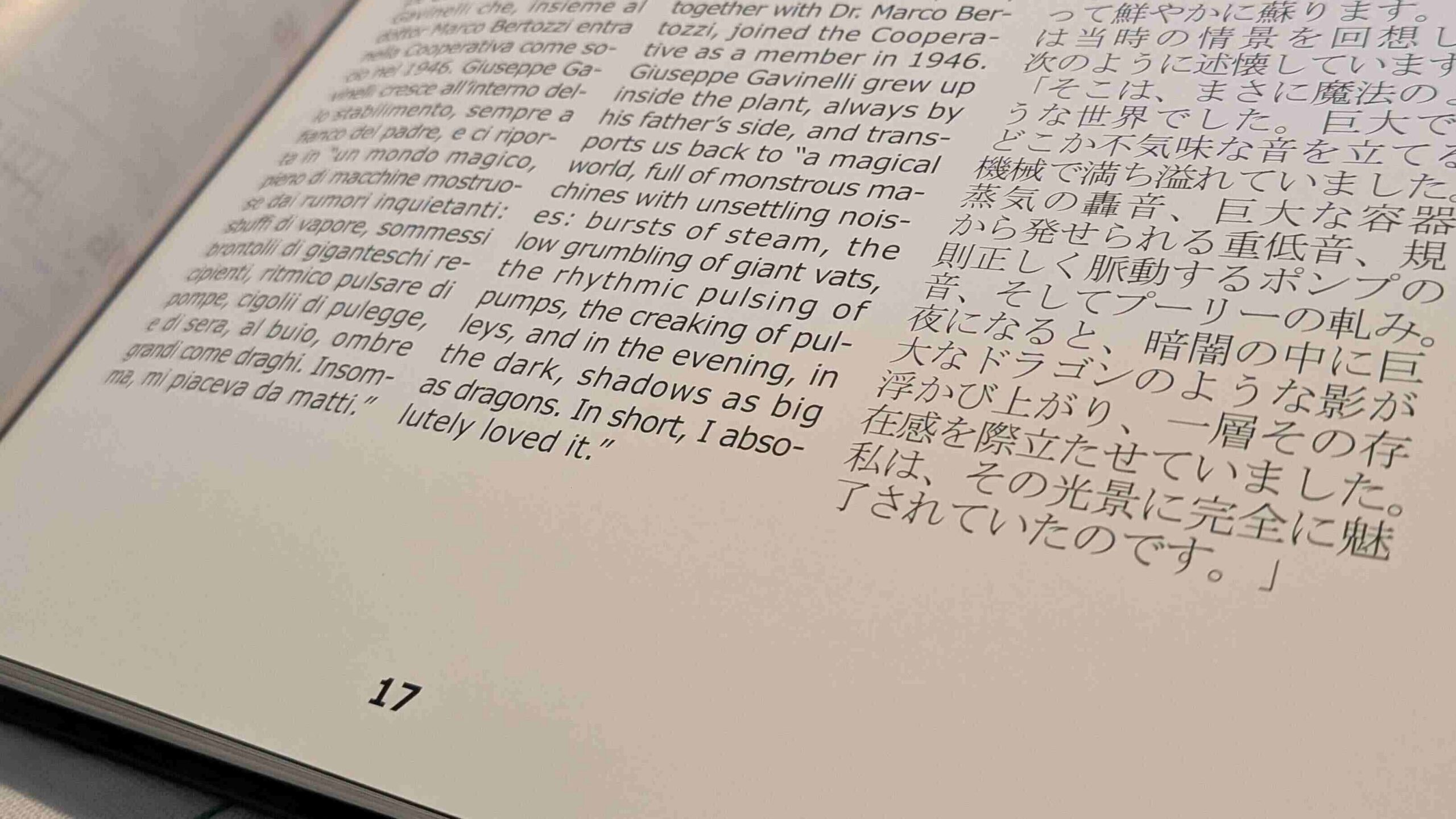 professional Japanese localization services anniversary book translation
